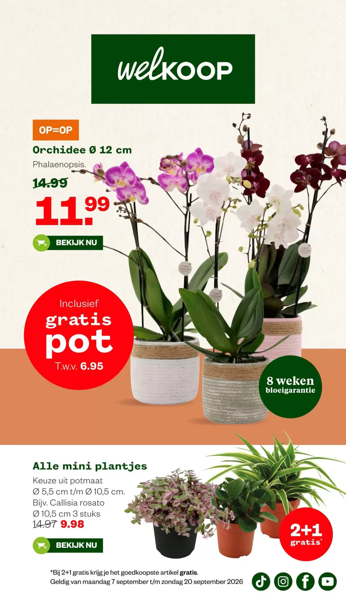 Welkoop Folder Week 38 – 14.09.2026 – 20.09.2026