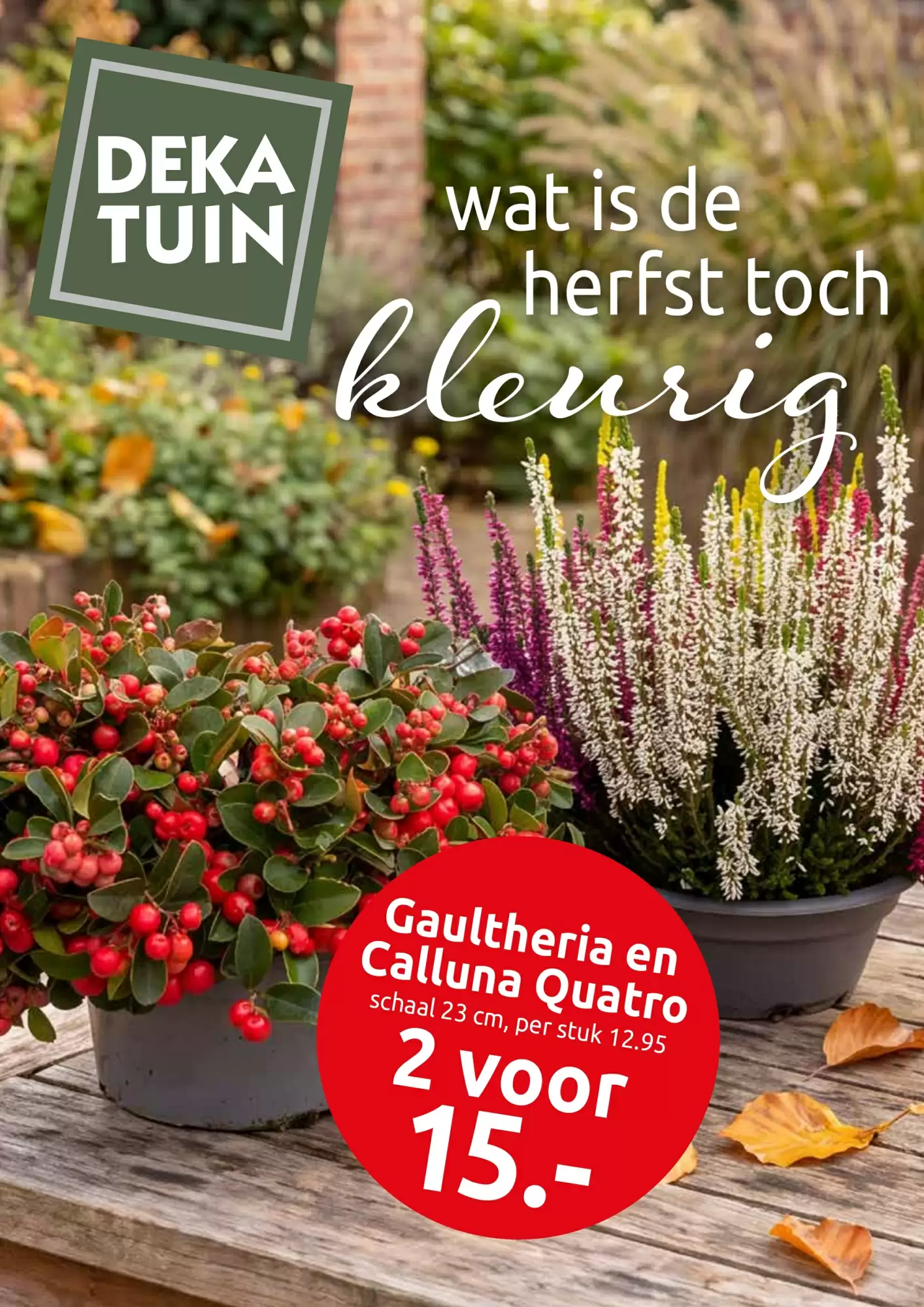 Deka Tuin Folder Week 42 – 12.10.2026 – 25.10.2026